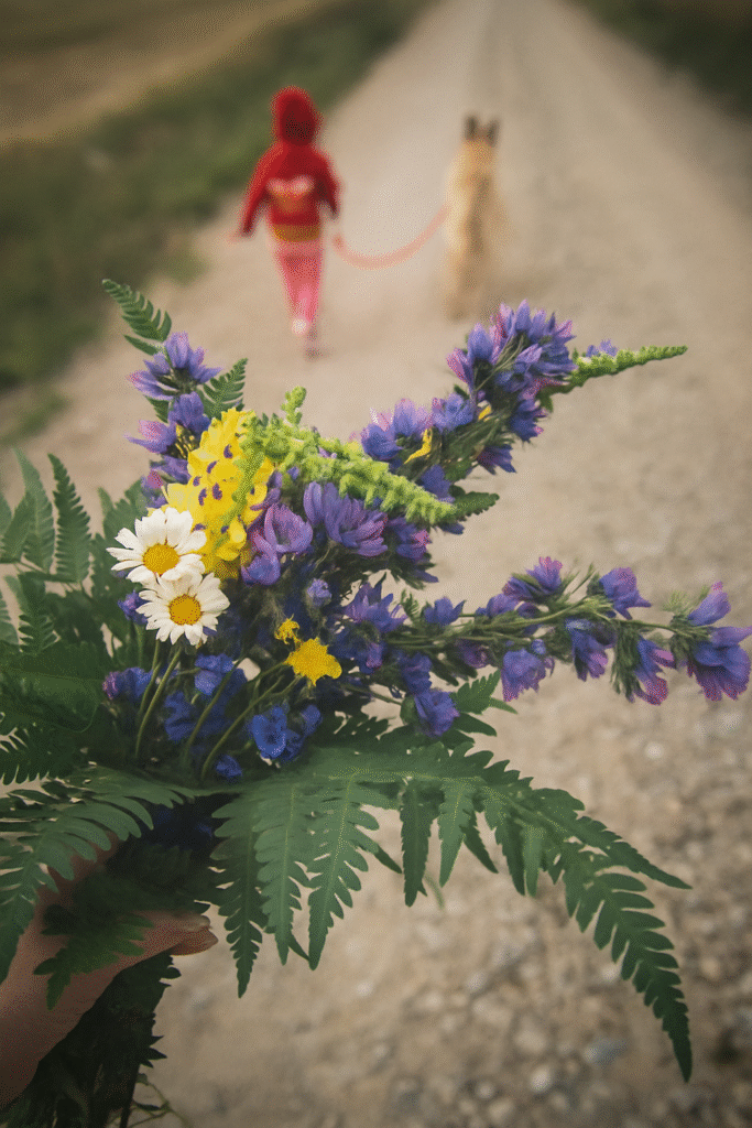 Laps-punase-dressipluusiga-koos-koeraga-metsateel